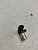 Датчик положения коленвала Subaru Forester SG5 EJ205 (2)