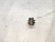 Пробка АКПП Subaru Impreza GG2 EJ15