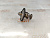 Термостат Mitsubishi Outlander CU5W 4G69 MD315301