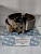 Колодки тормозные задние SUZUKI TA02W TD02W TA52W TD52W TL52W TD62W барабан R=110 TRUSTAUTO