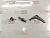 Фиксатор положения парковки АКПП Honda Fit GD1 L13A 	