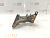Кронштейн опоры двигателя Toyota Caldina AT211G 7AFE 12315-16061