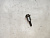 Болт успокоителя цепи ГРМ Toyota Camry ACV30 2AZFE (2) 90109-08268