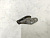 Крюк двигателя Nissan Teana J32 VQ25DE 1000531U0B