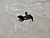 Кронштейн АКПП Nissan Note E12 HR12DDR RE0F11A JF015 310203JX8D (2)
