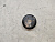 Шкив помпы Toyota Noah AZR60G 1AZFSE	