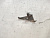Кронштейн АКПП Mazda Familia VY10 GA13DS 31772-31X05