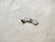 Кронштейн проводки Toyota Prius NHW20 1NZFXE 82715-47150