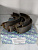 Колодки тормозные задние NISSAN G11 Z11/12 Y12 C11 K12/13 Toyota A210A R=114.3 TRUSTAUTO
