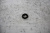 Шестерня коленвала Toyota Vista Ardeo ZZV50G 1ZZFE 13521-22020