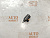 Соленоид АКПП Mercedes-Benz C240 M112E26 A1402770435