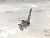 Механизм выбора передач Exeed RX SQRF4J20C (6) 