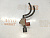 Клапан вакуумный Lexus RX300 MCU15 1MZFE 13401-20030 (3)