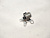 Соленоид Toyota Ipsum SXM15G 3SFE A243F 85420-21070