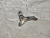 Стояночный замок АКПП Toyota Camry ACV30 2AZFE U250 3559032010