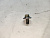 Болт шестерни распредвала Toyota Gaia ACM10G 1AZFSE (3) 90119-10843