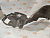 Подкрылок Lexus RX 97-03 / Toyota Harrier (XU10) 97-03 (Спереди/ Слева)