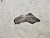 Крышка ГРМ Mitsubishi Airtrek CU4W 4G64 (2) MD351759