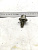 Болт шестерни распредвала Lexus RX300 MCU15 1MZFE 90105-12149 (3)