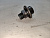 Регулятор давления топлива Hyundai Elantra XD G4ED (2) 3530123700