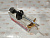 Стойка передняя Toyota Corolla (E180) 12-19 / Corolla Fielder 12 TOKICO