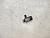 Кран сливной блока цилиндров Toyota Camry ACV30 2AZFE (2)	