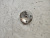 Муфта VVT-i Toyota Avensis ZRT271 2ZRFAE 13050-0T090