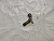 Датчик скорости Toyota Mark II GX110 1GFE A42 / 03-70LS 8941322010
