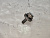 Болт шестерни распредвала Toyota Mark II GX100 1GFE 90910-02138	