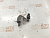 Конденсатор Mazda Premacy CP8W FPDE