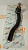 Рулевой наконечник Toyota Camry (XV30,XV40) 01-11 / Lexus ES 01-06