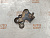 Кронштейн опоры АКПП Toyota Prius NHW20 1NZ-FXE