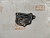 Крышка лобовины Honda Accord CL9 K24A3 (2)
