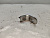 Кронштейн BMW 3-Series E30 M10B18 11431286497