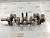 Коленвал Nissan March AK12 CR12DE (3)