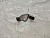 Кронштейн АКПП патрубка сапуна Toyota Camry ACV30 2AZFE U250 9094901C99